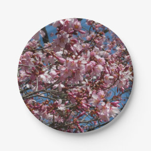 Cherry Blossoms and Blue Sky Spring Floral Paper Plate