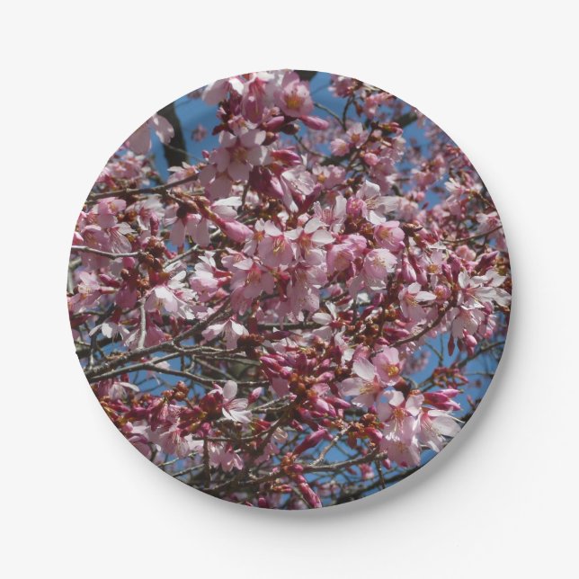 Cherry Blossoms and Blue Sky Spring Floral Paper Plate (Front)