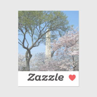 Cherry Blossoms and the Washington Monument in DC