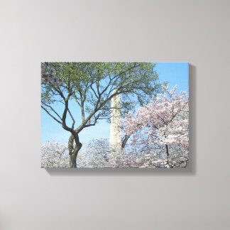 Cherry Blossoms and the Washington Monument in DC Canvas Print