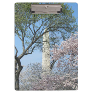 Cherry Blossoms and the Washington Monument in DC Clipboard