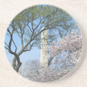 Cherry Blossoms and the Washington Monument in DC Coaster