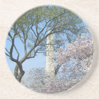 Cherry Blossoms and the Washington Monument in DC Coaster