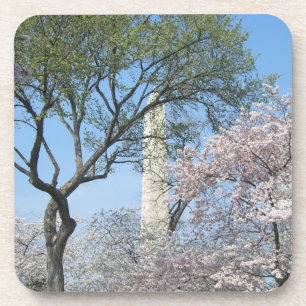 Cherry Blossoms and the Washington Monument in DC Coaster