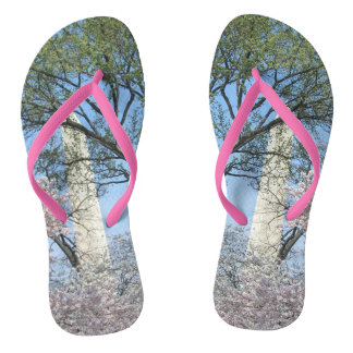 Cherry Blossoms and the Washington Monument in DC Jandals
