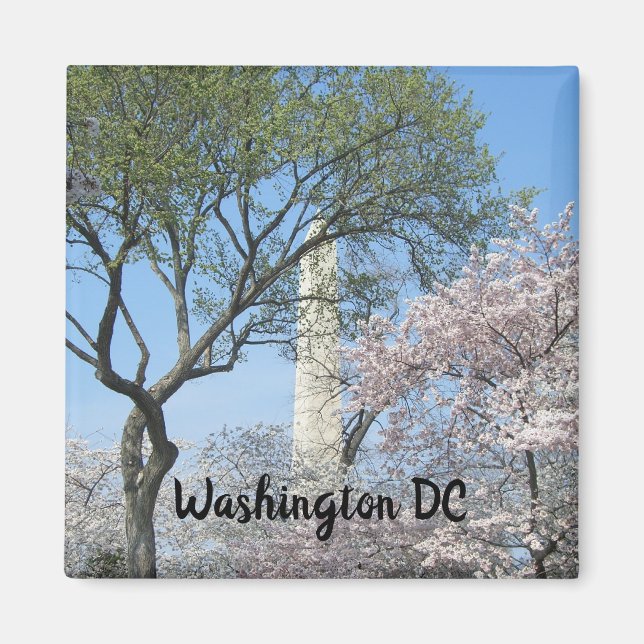 Cherry Blossoms and the Washington Monument in DC Magnet (Front)