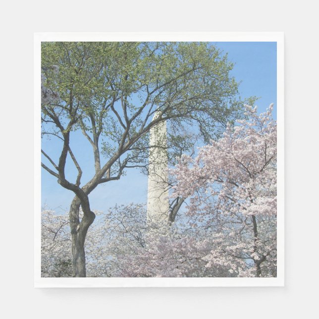 Cherry Blossoms and the Washington Monument in DC Napkin (Front)