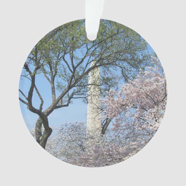Cherry Blossoms and the Washington Monument in DC Ornament (Front)