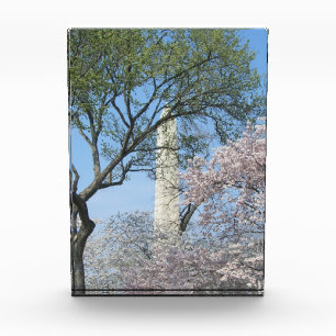 Cherry Blossoms and the Washington Monument Photo Block