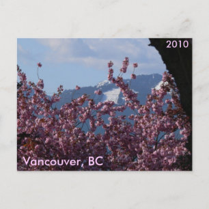 Cherry Blossoms and Winter Olympics Postcard