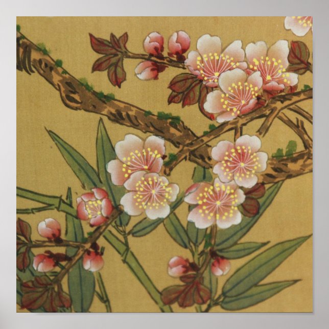 Cherry Blossoms Asian Japanese Art Poster (Front)