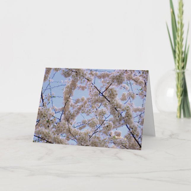 'Cherry Blossoms' Blank Greeting Card (Front)
