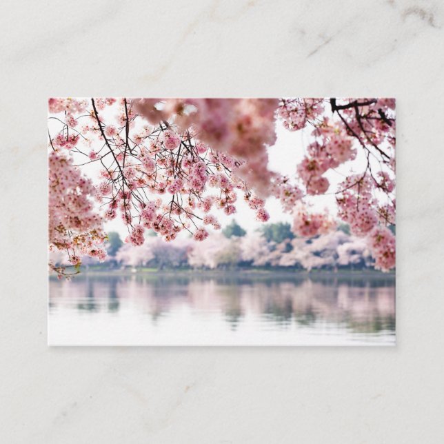 Cherry Blossoms Business Card (Front)