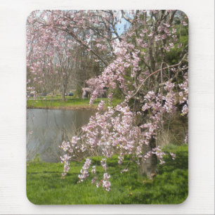Cherry Blossoms By The Water Mouse Pad