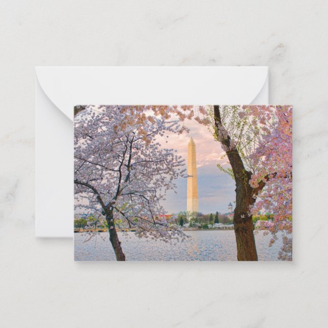 Cherry Blossoms Card (Front)