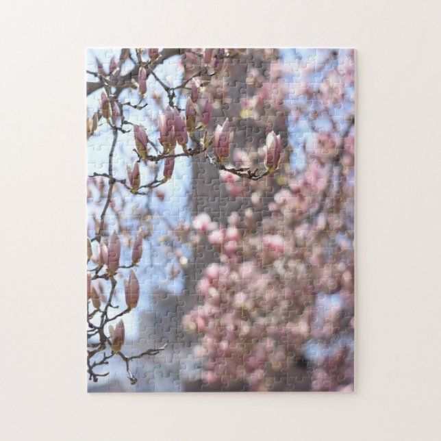 Cherry Blossoms Central Park New York City NYC Jigsaw Puzzle (Vertical)