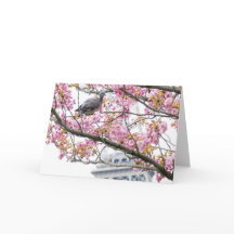 Cherry Blossoms Folded Blank Greeting Card