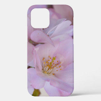 Cherry Blossoms Gift Box Case-Mate iPhone Case