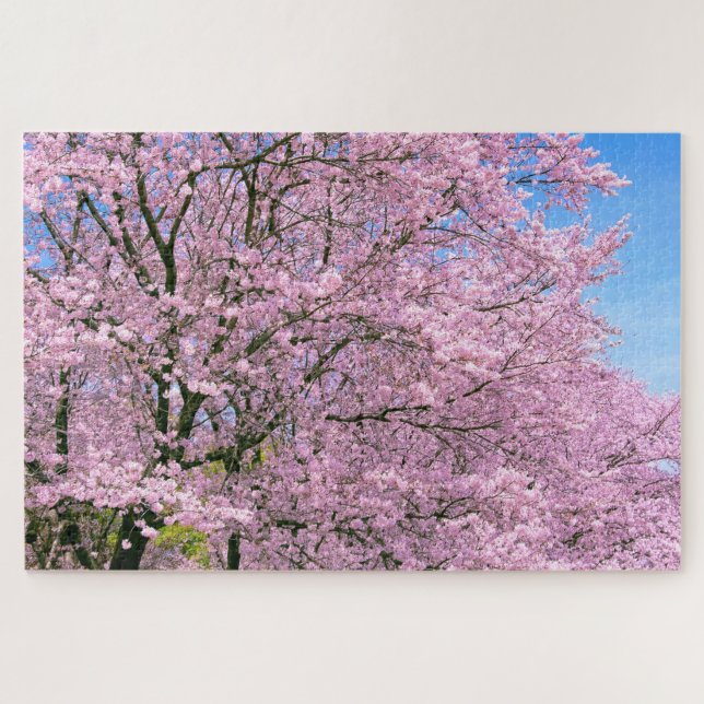 Cherry Blossoms in Bloom Jigsaw Puzzle (Horizontal)