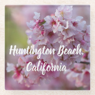 Cherry Blossoms in Huntington Beach, CA Glass Coaster