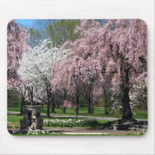 Cherry Blossoms in Philadelphia Mousepad