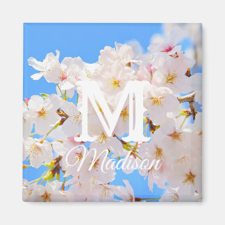 Cherry Blossoms in Spring Magnet
