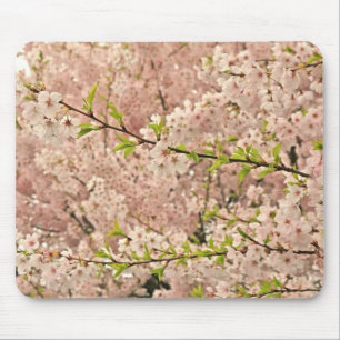 Cherry Blossoms in Spring Mouse Pad