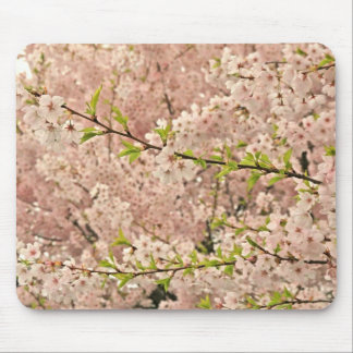 Cherry Blossoms in Spring Mouse Pad