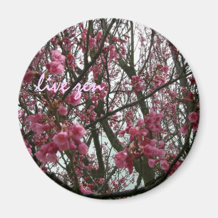 cherry blossoms live zen magnet