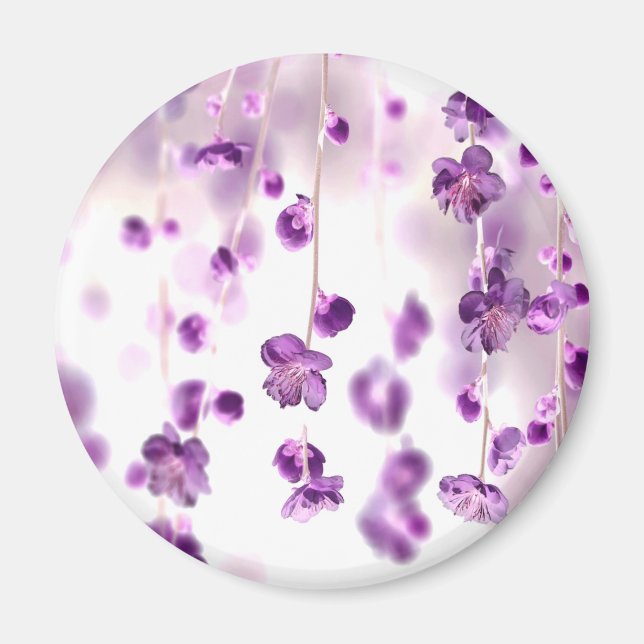 Cherry blossoms magnet (Front)
