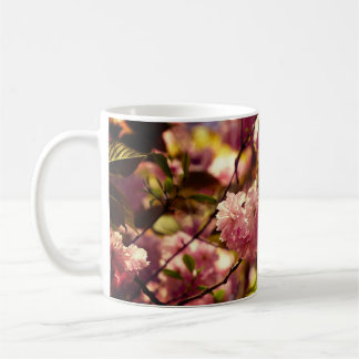 Cherry Blossoms mug