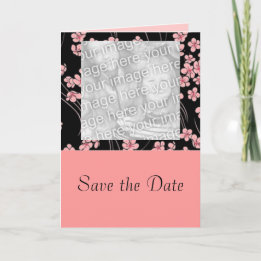 Cherry Blossoms on Black  Photo Card