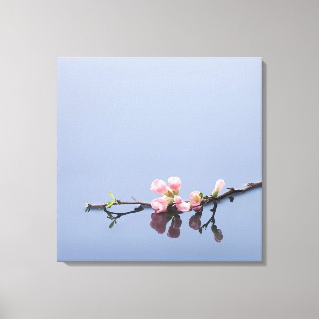 Cherry blossoms on water canvas print (Front)