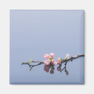 Cherry blossoms on water magnet