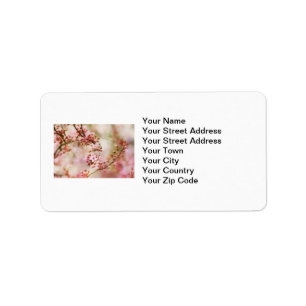 Cherry Blossoms Photo Label