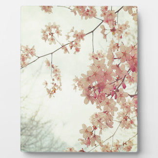 Cherry Blossoms Plaque