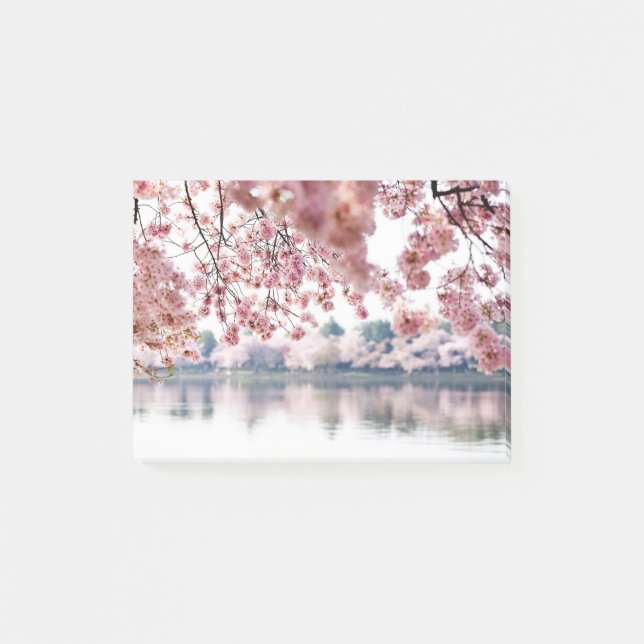 Cherry Blossoms Post-it Notes (Front)