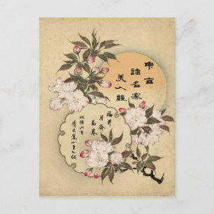 Cherry blossoms postcard