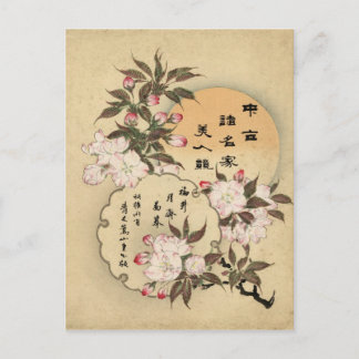 Cherry blossoms postcard