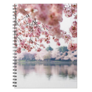 Cherry Blossoms Spiral Notebook