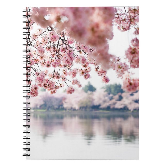 Cherry Blossoms Spiral Notebook (Front)