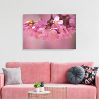 Cherry Blossoms Spring  2012 Poster