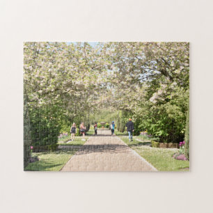 Cherry Blossoms Spring Regent's Park London UK Jigsaw Puzzle
