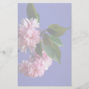 Cherry blossoms stationery