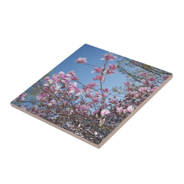 Cherry Blossoms Tile (Side)