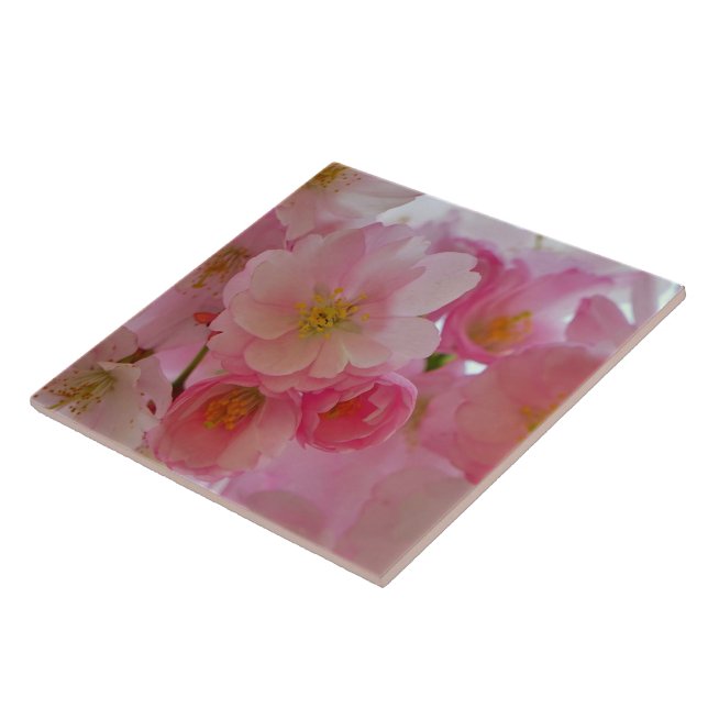 Cherry Blossoms Tile (Side)