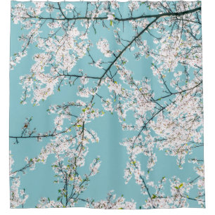 Cherry Blossoms: Turquoise Floral Trend Shower Curtain