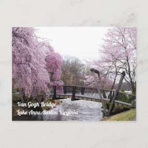 Cherry Blossoms Van Gogh Bridege Lake Anne Reston Postcard