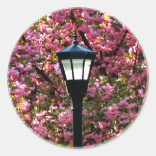Cherry Blossoms Victorian Lamp Post Scenic Pretty Classic Round Sticker
