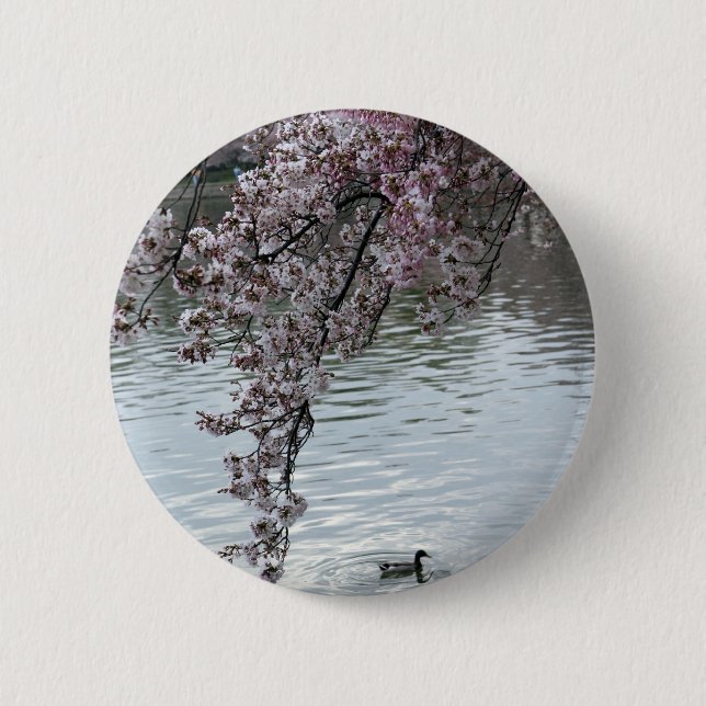 Cherry Blossoms Washington DC 6 Cm Round Badge (Front)